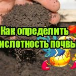 Определение кислотности почвы