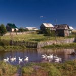 Я недавно переехала жить в деревню, и ни о чем не жалею