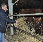 Семейную молочную ферму Василий Адаменко просчитал, как шахматную партию, на семь ходов вперёд