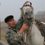 Таежный почтальон, или Последний ямщик губернии