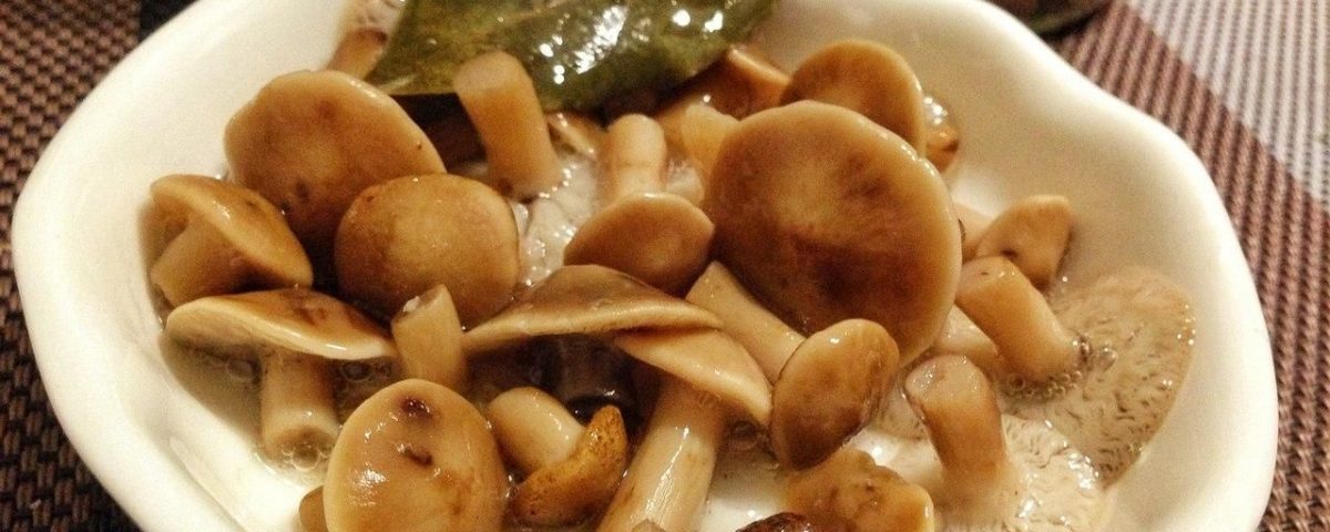2 маринованные грибы