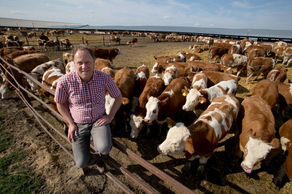 Фермер из Лисок Штефан Дюрр рассказал иностранному журналисту, как он начал свой путь с нескольких коров, а ныне владеет сотней тысяч