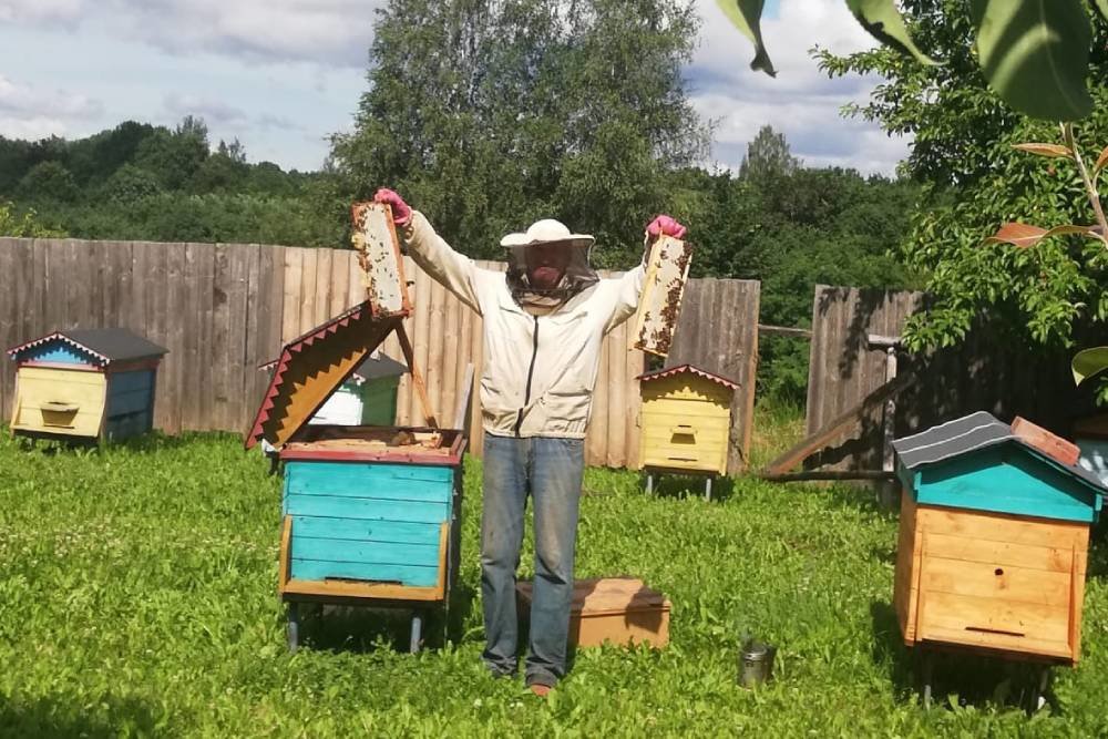 Как Виктор Стукан и его пчелы возрождают деревню под Витебском